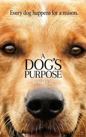 โปสเตอร์หนัง A Dog’s Purpose กำกับโดย ลาสซี่ ฮอลสตรอม 