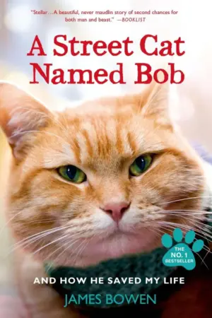 โปสเตอร์หนัง A Street Cat Named Bob กำกับโดย โรเจอร์ สปอตติสวู้ด