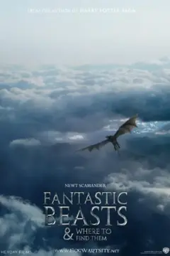 Fantastic Beasts and Where to Find Them (2016)