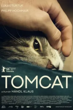 Tomcat (Kater) (2016)