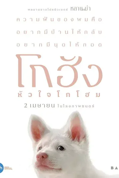 โกฮัง..หัวใจโกโฮม