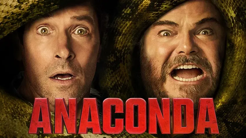 Anaconda - ONLYGROUB